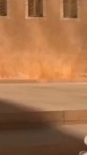 Новая Анимация Куная #врек #стандофф2 #standoff2 #веля #тик #стрим #а4 #кобяков #анимация