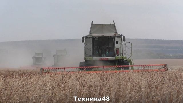 Claas Tucano 580 на уборке сои. Ставропольские комбайны на ли? смотреть онлайн