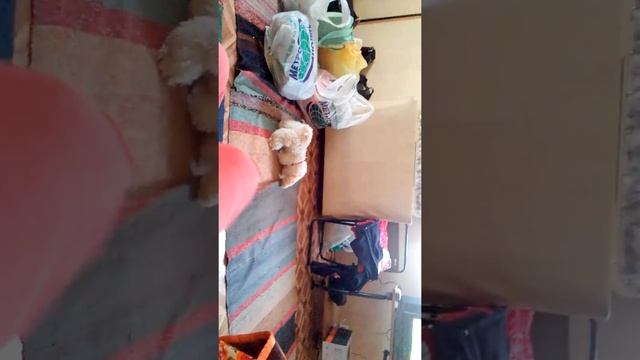 Приколы жизни 1часть смотреть онлайн