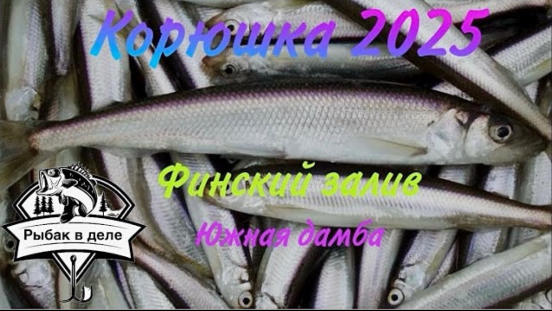Корюшка_Финский залив открытие сезона по корюшке. смотреть онлайн