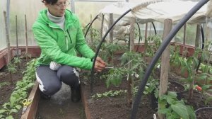 6 соток 20 мая 2025 года. 1 часть.