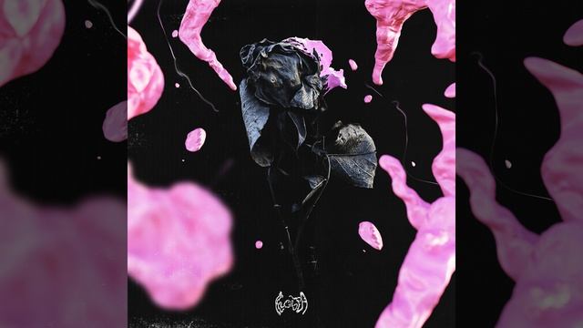 Чёрные розы