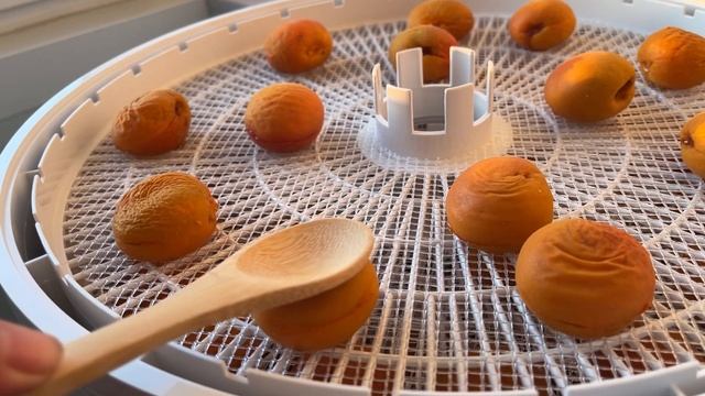 Луговой уголок