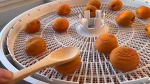 Как сушить АБРИКОСЫ- Вкусная  КУРАГА в домашних услови