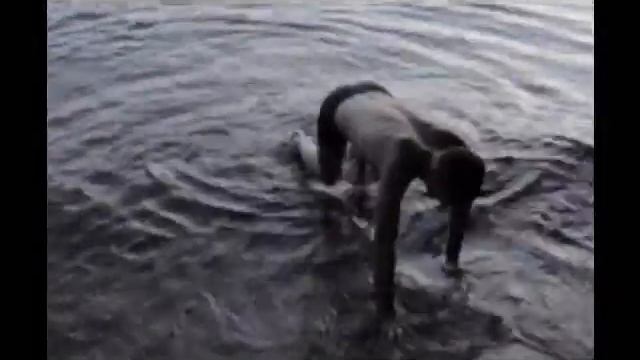 крабопаукочеловек по имени Коля смотреть онлайн