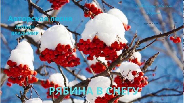 РЯБИНА В СНЕГУ песня 2025 г очень красивая. смотреть онлайн