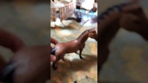 Обзор на новинки