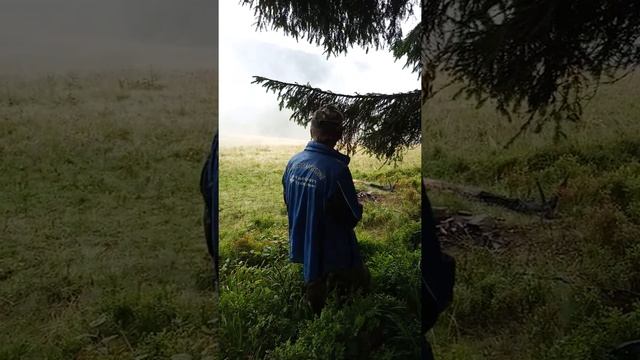 Песни проводника Василя. Закарпатье. смотреть онлайн