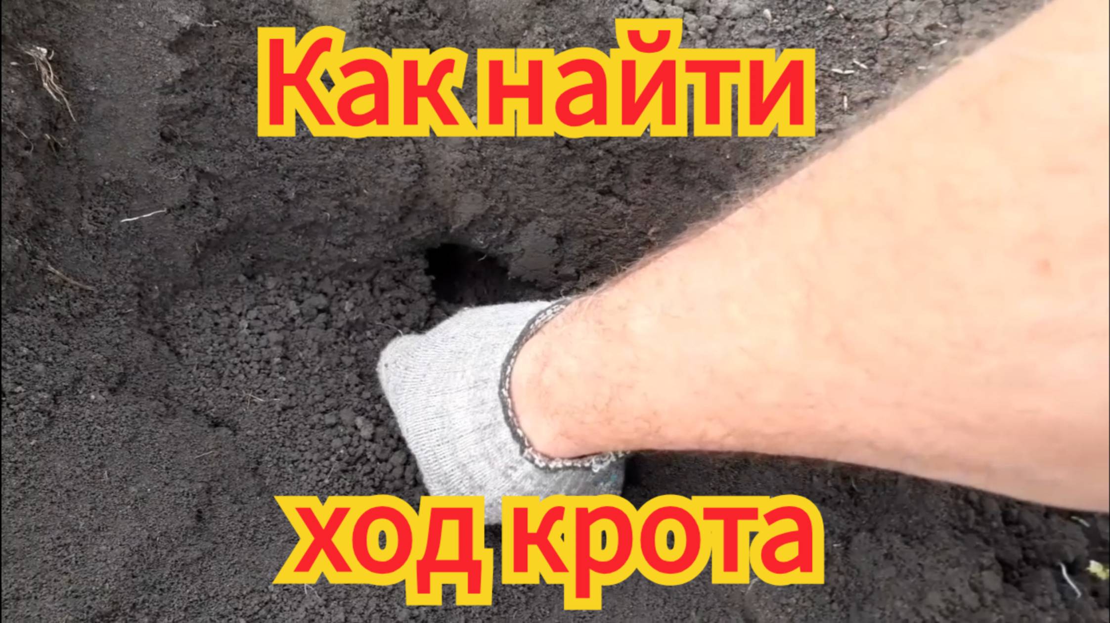 Как быстро и легко, найти ход крота. смотреть онлайн