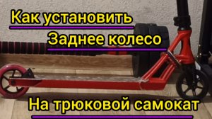 как установить заднее колесо на трюковой самокат