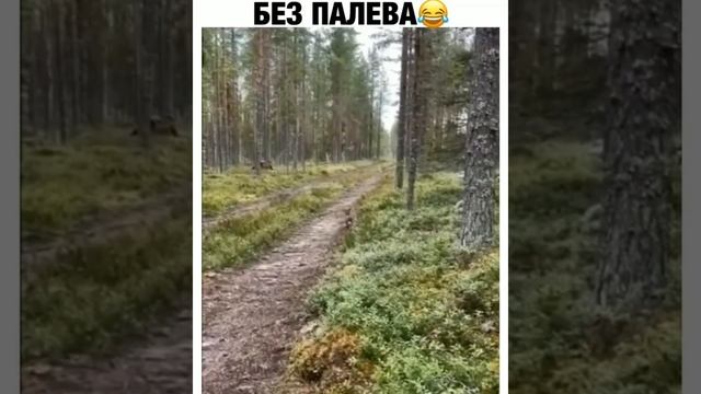 Я РЖАЛ ДО СЛЕЗ 😂 2021ЗАСМЕЯЛСЯ ПОДПИСАЛСЯ лютые приколы! Только это видео поднимит вам настроение.. смотреть онлайн