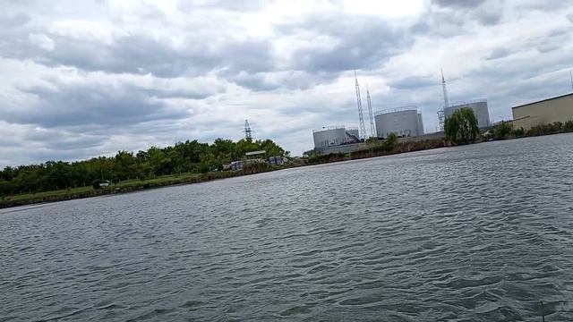 Карп 14 кг. Трофеи весной, ловля карпа. смотреть онлайн