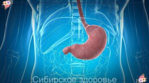 ЛЕЧЕНИЕ ГАСТРИТА КАТАРАКТЫ И ДРУГИЕ РЕЦЕПТЫ ЗОЖ