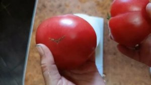 Томат Сладчайший бифштекс