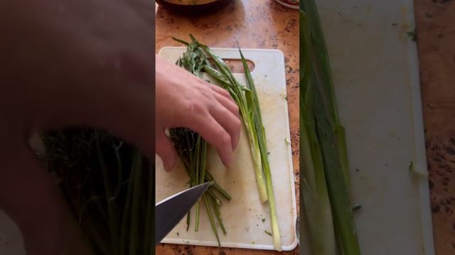 Странного окраса помидоры, вкусные. смотреть онлайн
