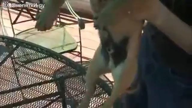 Видео приколы от Санька смотреть онлайн