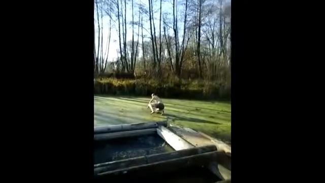 ЛУЧШИЕ ПРИКОЛЫ ИЗ ВАТСАП ЗА ЯНВАРЬ 2018 Я ПЛАКАЛ хахаха смотреть онлайн