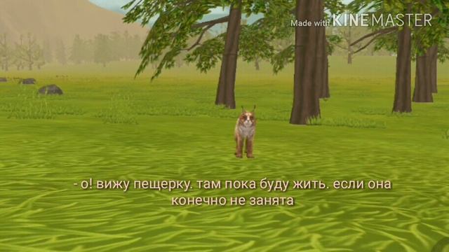 История рысей. ||Wild craft|| смотреть онлайн