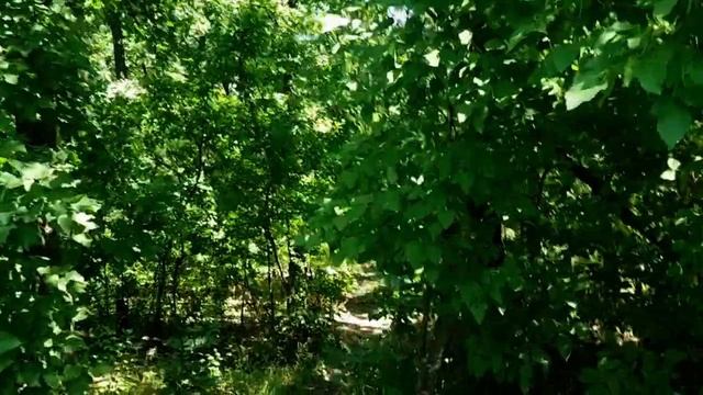 САМВЕЛ АДАМЯН МАМА СОIIIГЛА УТКУ. ПbЯНАЯ СВЕТЛАНА СТРАН? смотреть онлайн