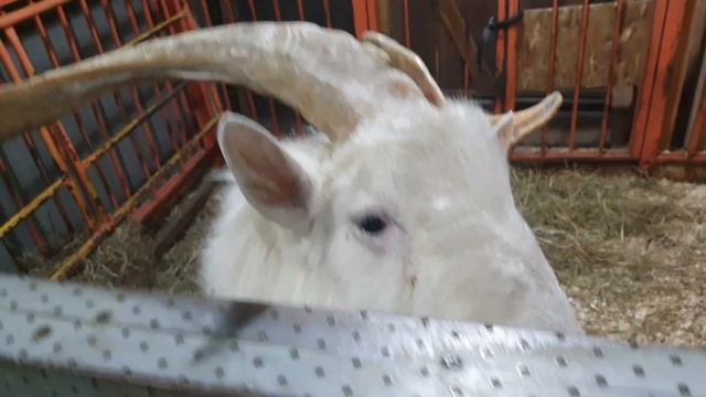 вднх(4) смотреть онлайн