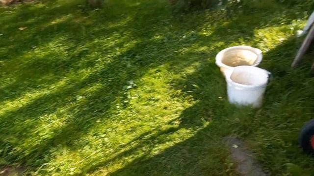 Про горох, клематисы, флоксы и тд смотреть онлайн