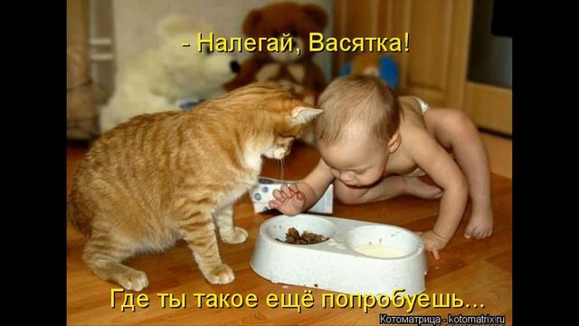 Братья наши меньшие... смотреть онлайн
