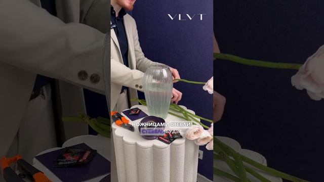 Правильный уход за цветами