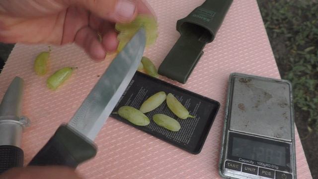 Виноград к ш Ламборджині смотреть онлайн