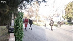 Bushman Prank Russia Snowless Christmas // Пранк живой куст. Бесснежный Новый год