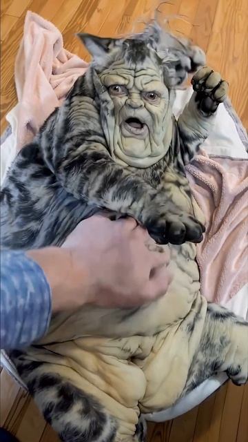 Нейронку попросили показать кошечку, которая даст деньги, если погладить ей пузико — результат убил смотреть онлайн