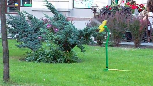 Прикол бешеный цветок