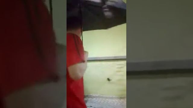 Смотреть прикол смотреть онлайн