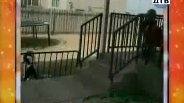 Юмор шутки прибаутки реальные приколы смотреть онлайн