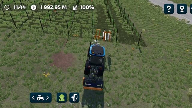 Fs23, виноград