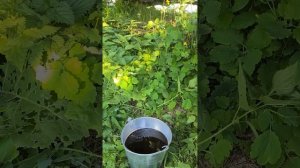 Geely atlas 2,4. Замена масла в коробке акпп