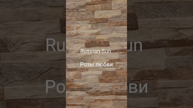 Russian Sun - Розы любви