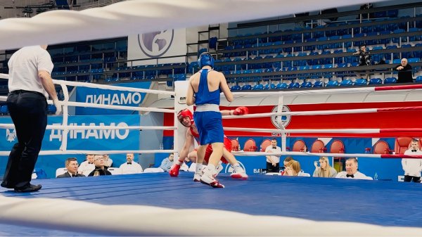 Соревнования по боксу / Юноши 15-16 лет / Вес 66 / Нокаут!
#топыкатегорий