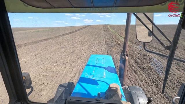 Підготовка до посіву Гречки. Посів Гречки трактором М? смотреть онлайн