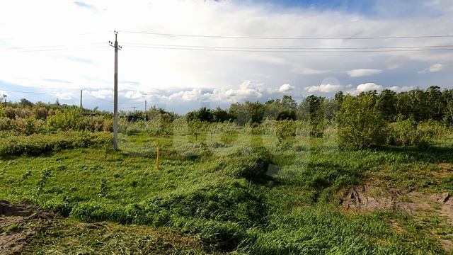 Project 245 смотреть онлайн