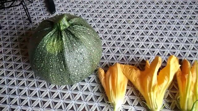 Маркус любит кушать свой хвостик 🙈 а Я оладьи из каба? смотреть онлайн