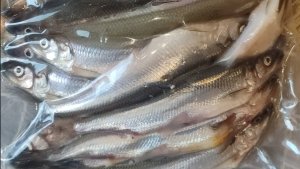 ТА САМАЯ ЧТО ПАХНЕТ ОГУРЦОМ😋😋😋