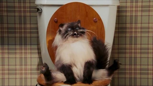 КОТ В ТУАЛЕТЕ (NOT A GOOD CAT) смотреть онлайн