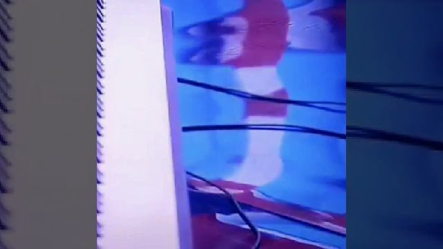 Таджикский композитор и пианист Джасур Халилов в программе Поговорим НасибаГулямова-и4ю  на TV