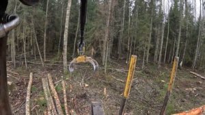 Работаем. Трелёвка и подбор леса. Форвардер/Вахта #лес?