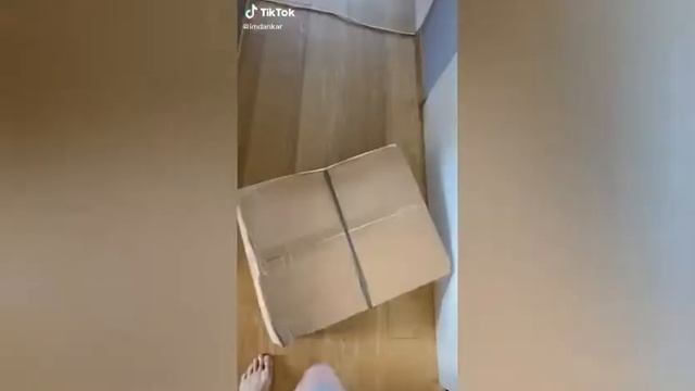 Последние видео данкара из тик тока смотреть онлайн