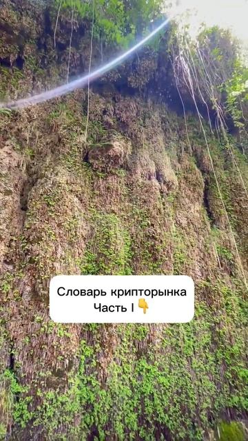 Словарь крипторынка. Часть I