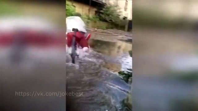скачать приколы смотреть онлайн