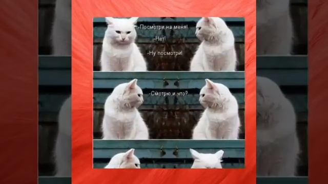 Для. Прикола смотреть онлайн