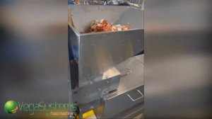 Пресс для жмыха Vega Press Juicer H1