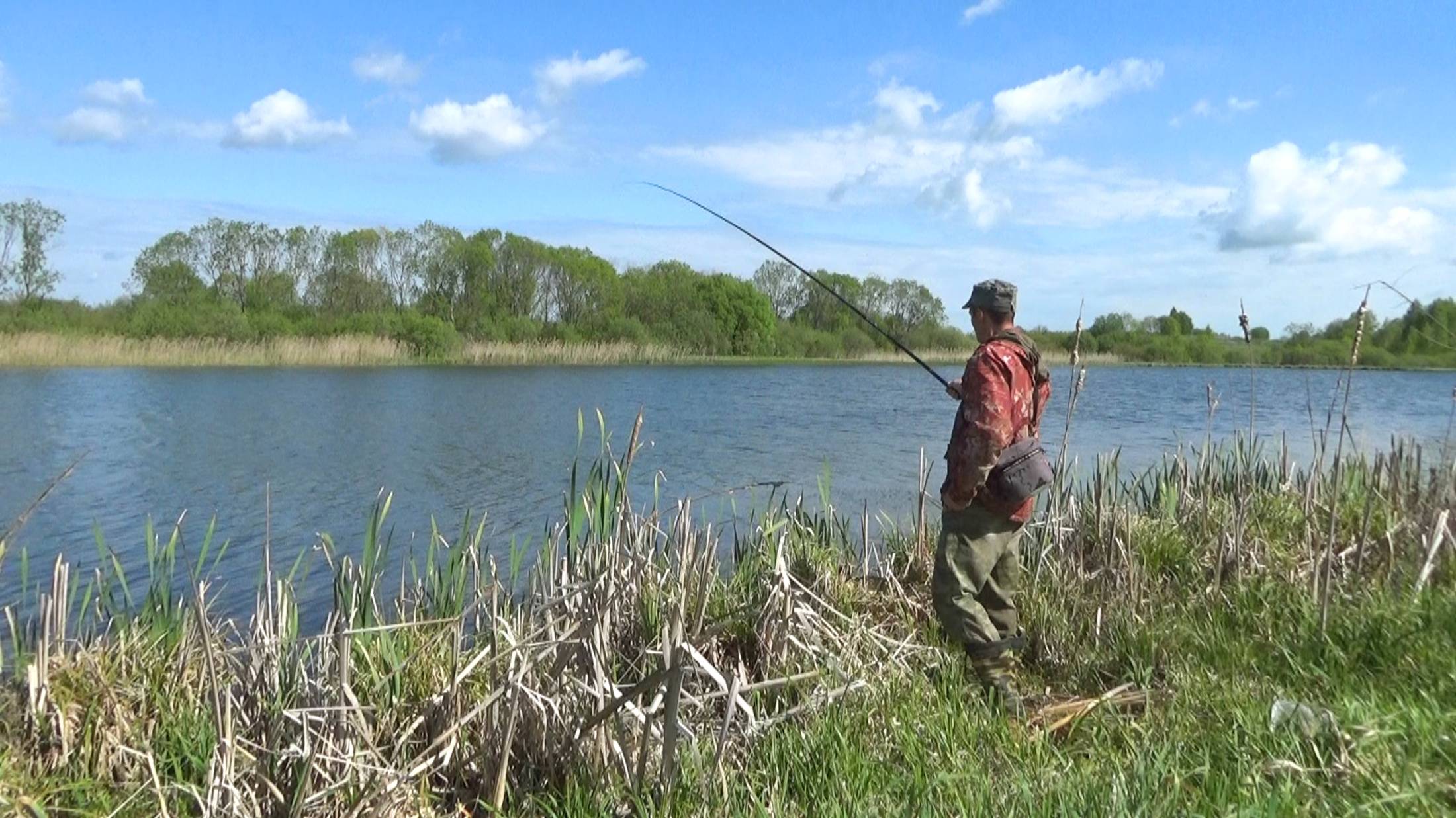 Рыбалка 20 мая на карася на поплавок. Как вырос карась после запуска окуня, через 3 года.